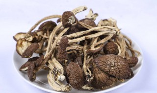 茶树菇开伞好还是不开伞好 干茶树菇开伞好还是不开伞好