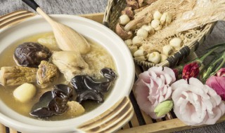 茶树菇乌鸡汤的禁忌 滋补乌鸡汤可以加茶树菇没