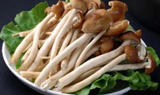 茶树菇泡多久有毒 茶树菇泡时间长了有毒吗