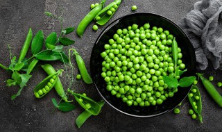 豌豆苗的种植方法是什么（豌豆苗怎么栽）