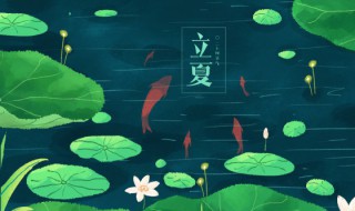 2022年立夏天气热了吗（2022夏天热不热）