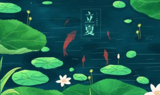 立夏养身小知识 立夏的养生小知识