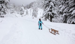 2022冬奥会主题演讲稿 关于2022冬奥会演讲稿