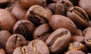 cacao和cocoa区别 cocoa-cacao