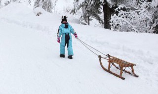 滑雪板上固定器的别称是什么 滑雪板固定器的特殊之处