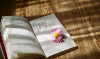 历史上真的有王重阳这个人吗 历史上的王重阳是个怎样的人