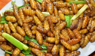 炸蝉蛹是不是先煮熟（蝉蛹如何炸）