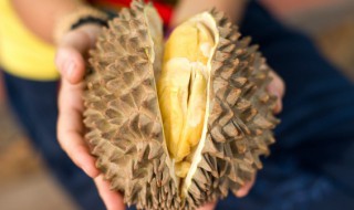 液氮冷冻榴莲怎么解冻（榴莲为什么要液氮冷冻）