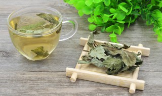 鲜荷叶怎么制作荷叶茶 鲜荷叶怎样制作荷叶茶