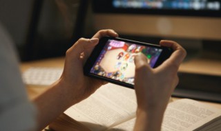 关于后宫游戏 关于后宫游戏破解版下载