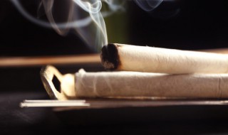 艾叶可以代替艾绒吗（艾绒能代替艾叶吗）