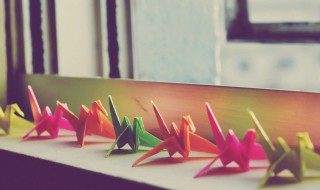 千纸鹤的寓意是什么 女生送千纸鹤的寓意是什么