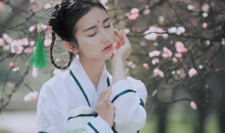 桃花源记中的桃花源在哪（桃花源记中的桃花源在哪里）