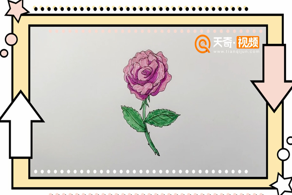 月季花简笔画