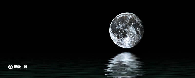 关于月光的比喻句