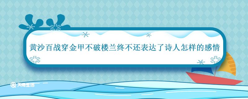 黄沙百战穿金甲不破楼兰终不还表达了诗人怎样的感情