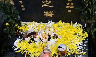 清明祭奠逝者鲜花用单数还是双数（祭拜鲜花用单数还是双数）