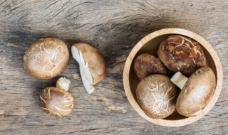 怎么泡发干香菇 怎么泡发干香菇好