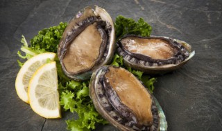 怎么泡发干鲍鱼（怎么泡发干鲍鱼不缩小）