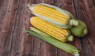 大量新鲜玉米棒怎样保存 新鲜的玉米棒怎样保鲜