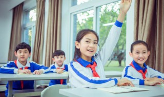 幼儿园教学活动的特点（幼儿园教学活动的特点不包括）