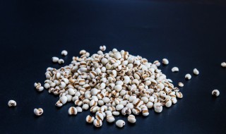 薏仁炒和不炒有什么区别（薏仁炒与不炒有什么区别）