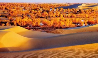塔克拉玛干沙漠是中国最大的沙漠吗 塔克拉玛干沙漠是世界十大沙漠之一吗