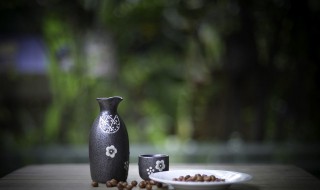 古代的酒杯叫什么（古代的酒杯叫什么盏）