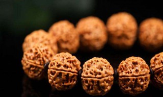 金刚菩提子在北方怎么保存 金刚菩提子可以冷冻吗