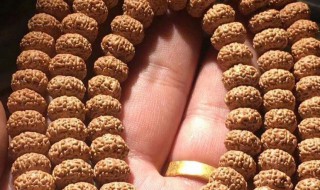 金刚菩提子是哪里产的 金刚菩提子是哪里产的?
