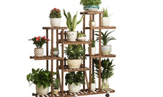 花架应该如何选购（花架实用吗）