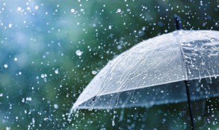 如何选购雨伞架（雨伞架放哪里比较合适）