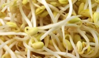 如何防止芽苗菜发霉（种植花生芽苗菜为何发霉）