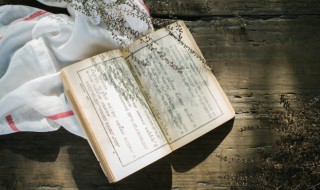 历史上是否真有芈月其人（芈月确有其人吗）
