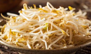 怎么种黄豆芽 怎么种黄豆芽的简单做法大全