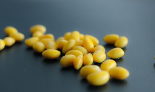 豆芽菜怎么发 豆芽菜怎么发又粗又好吃