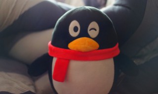 qq四叶草图标是什么（qq聊天四叶草图标是什么）