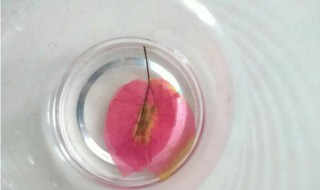 水晶滴胶怎么制作 水晶滴胶制作方法