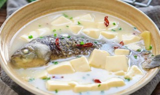 鱼汤怎么做才能做成乳白色的（奶白色的鱼汤是怎么做出来的）
