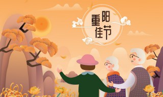 重阳节为什么要插上茱萸（重阳节为什么遍插茱萸）