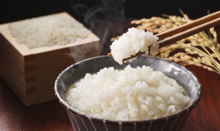 米饭蒸软了怎么补救 蒸米饭蒸的软了怎么补救