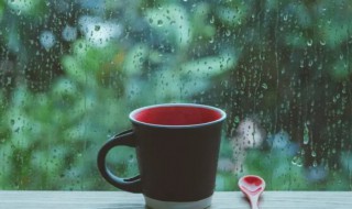 梅雨季节如何除湿防潮（梅雨季节防潮小窍门）