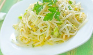 黄豆芽和绿豆芽怎么保鲜（绿豆芽怎样保鲜）