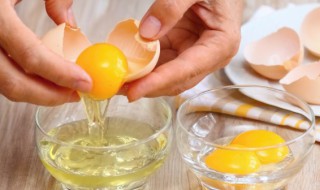 微波炉蛤蜊炖蛋的做法（微波炉炖蛋方法）