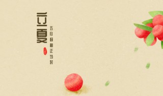 立夏优美语句（关于立夏的句子唯美）