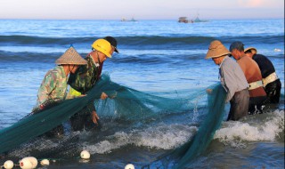 怎样烧鱼又嫩又入味 鱼怎样烧出来更入味