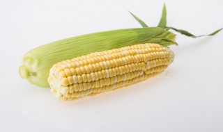 玉米棒保存方法（玉米棒如何保存方法）