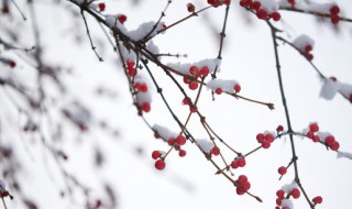 梦见白雪是什么意思 梦见白白的雪是什么意思?