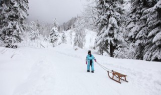 哈尔滨雪乡在哪里 哈尔滨雪乡在哪里?