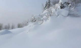 东北雪乡自助游（东北雪乡自助游攻略）